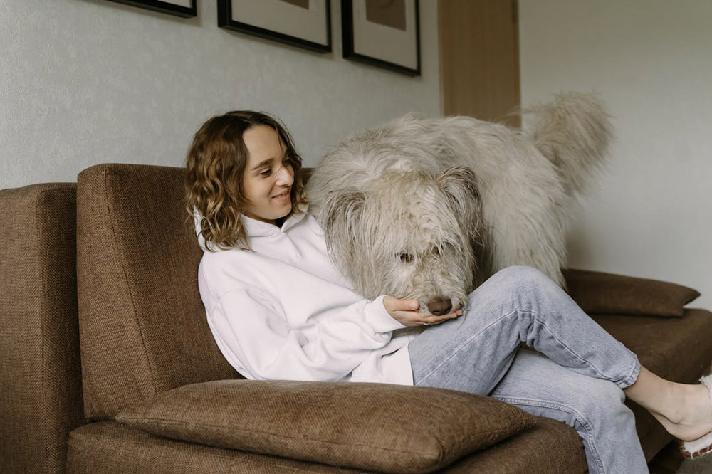 Mujer y su perro en un sofa