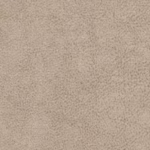 dallas 24 beige